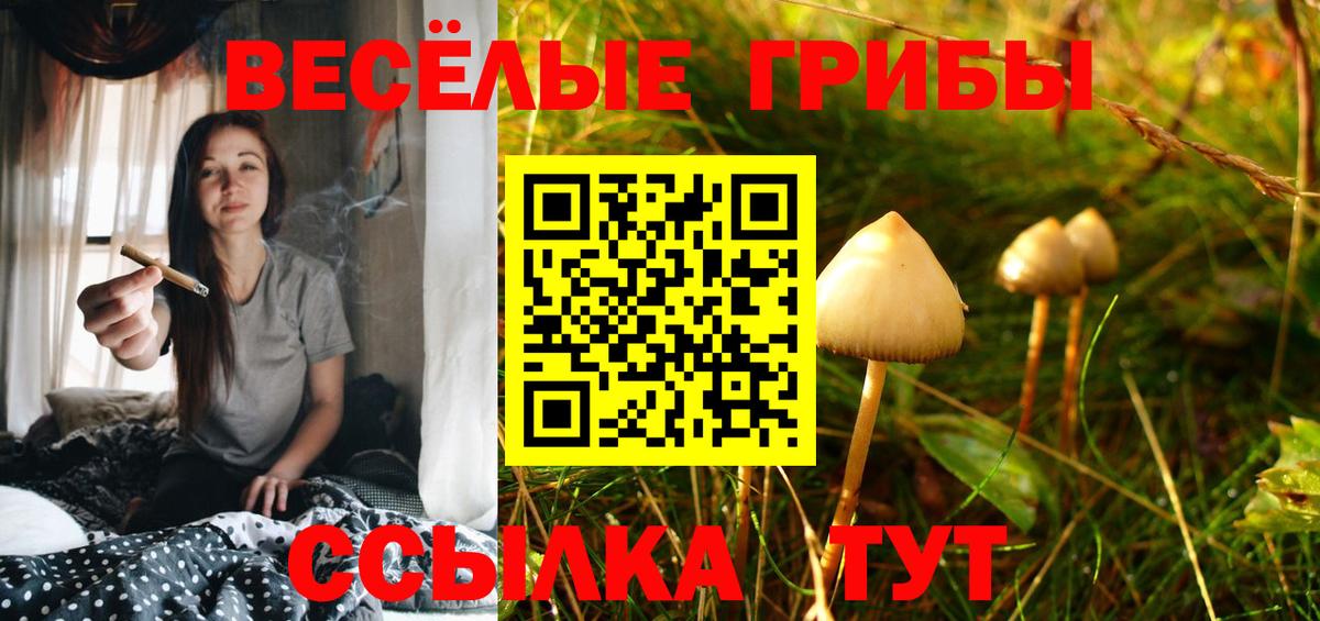 Галлюциногенные грибы Magic Shrooms Алушта