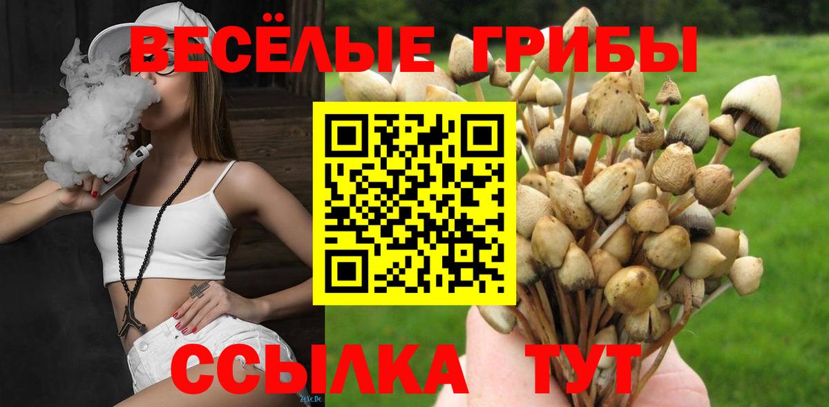 Галлюциногенные грибы Cubensis  Вход с VPN  Алушта 